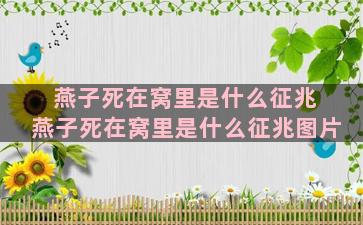 燕子死在窝里是什么征兆 燕子死在窝里是什么征兆图片